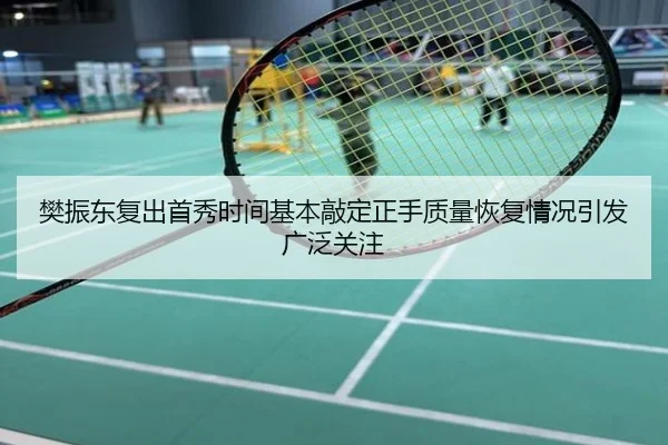 樊振东复出首秀时间基本敲定正手质量恢复情况引发广泛关注