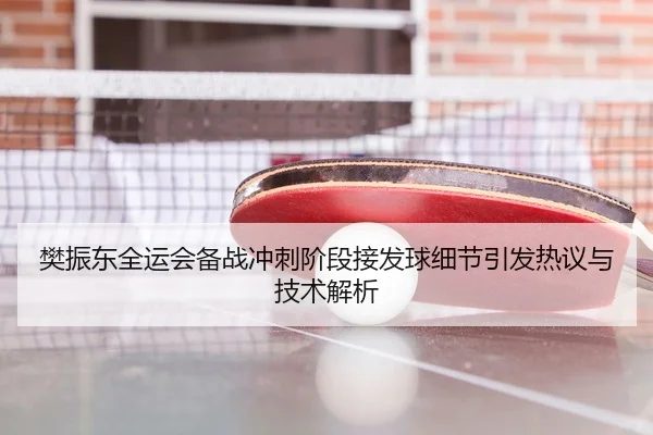 樊振东全运会备战冲刺阶段接发球细节引发热议与技术解析