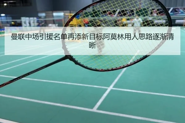 曼联中场引援名单再添新目标阿莫林用人思路逐渐清晰